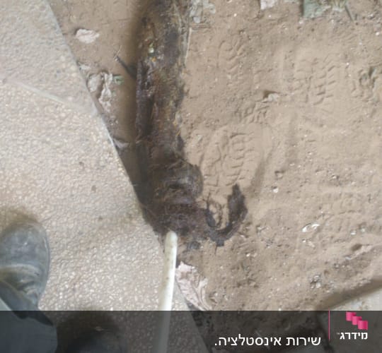 צינור עם סתימה של שורשים ליד פתח ביוב